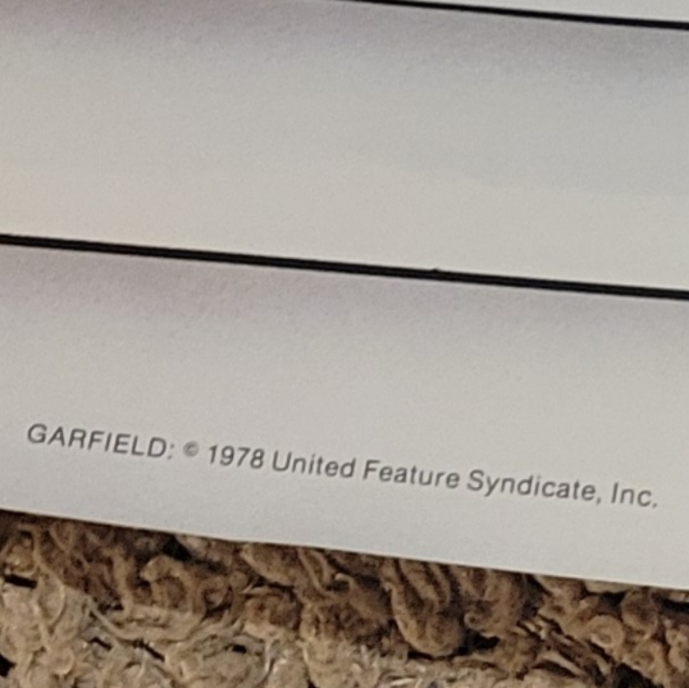 VINTAGE JIM DAVIS 1978 GARFIELD POSTER ARGUS I HATE IT WHEN THAT HAPPENS - Picture 5 of 6